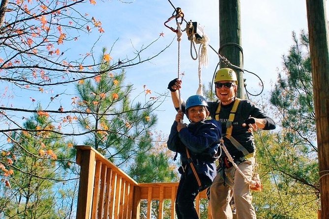 Small-Group Zipline Tour in Hot Springs - How demanding is the 90-minute course?