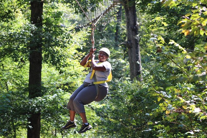 Small-Group Zipline Tour in Hot Springs - What happens from arrival to final landing