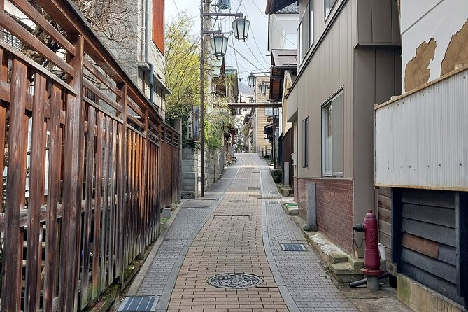 Snow Monkey Park, Soba Lunch and Shibu Onsen Tour - Is $97.82 a fair price?
