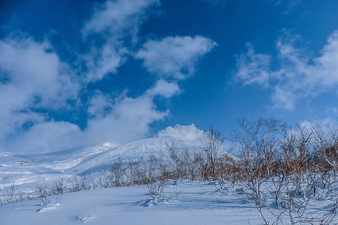 Snowshoe Adventures and Onsen Bliss Winter Escape in Furano - Why this snowshoe tour feels different