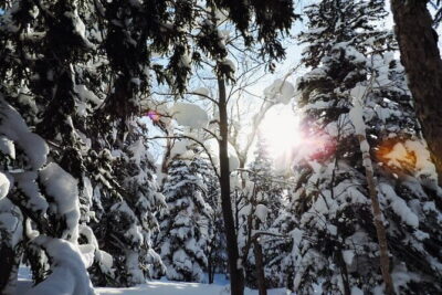 Snowshoe Adventures and Onsen Bliss Winter Escape in Furano