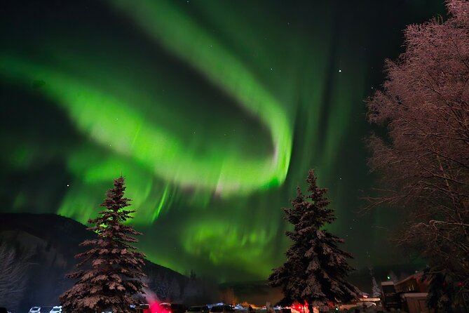 Spectacular Chena Hot Springs Northern Lights Experience - Who should book this Chena evening