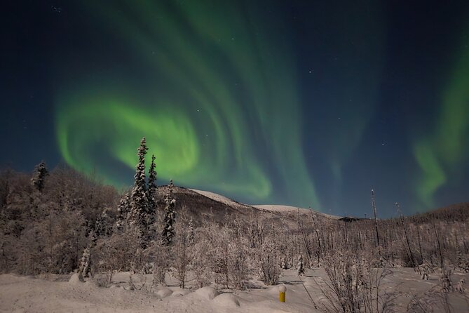 Spectacular Hot Spring Experience with Northern Lights - The Ice Museum: a quick, strange, photogenic stop