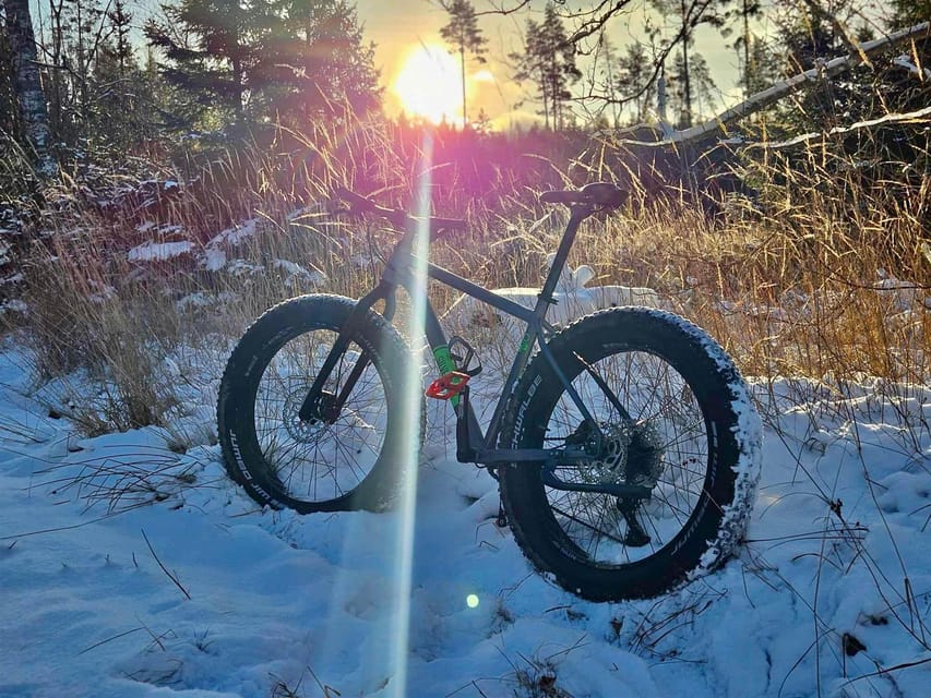 Stockholm: Fat Bike Forest Adventure with Lunch and Sauna - Key points to know before booking