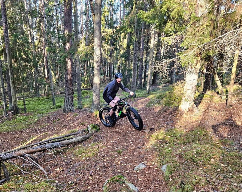 Stockholm: Fat Bike Forest Adventure with Lunch and Sauna - A forest café lunch with lake views