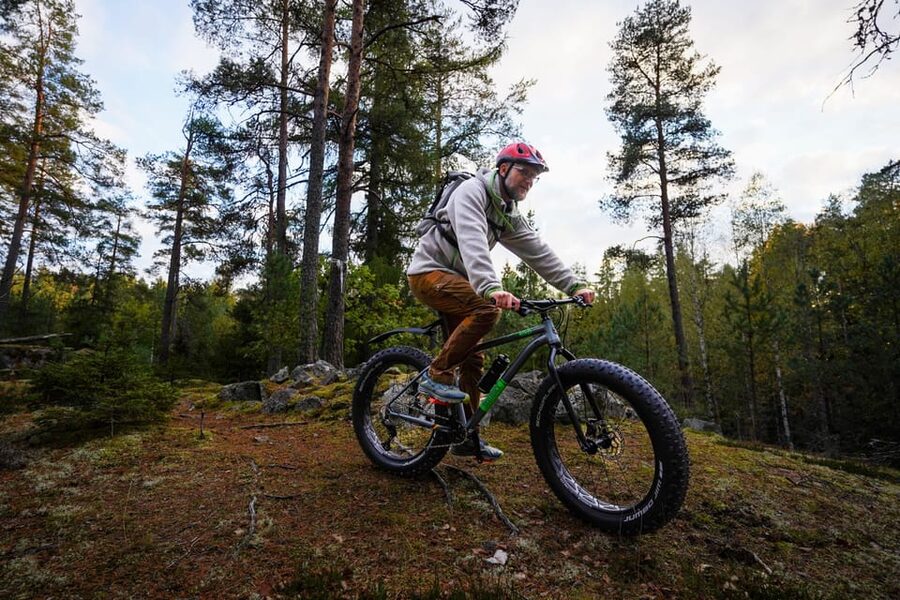 Stockholm: Fat Bike Forest Adventure with Lunch and Sauna - What the $138 price covers