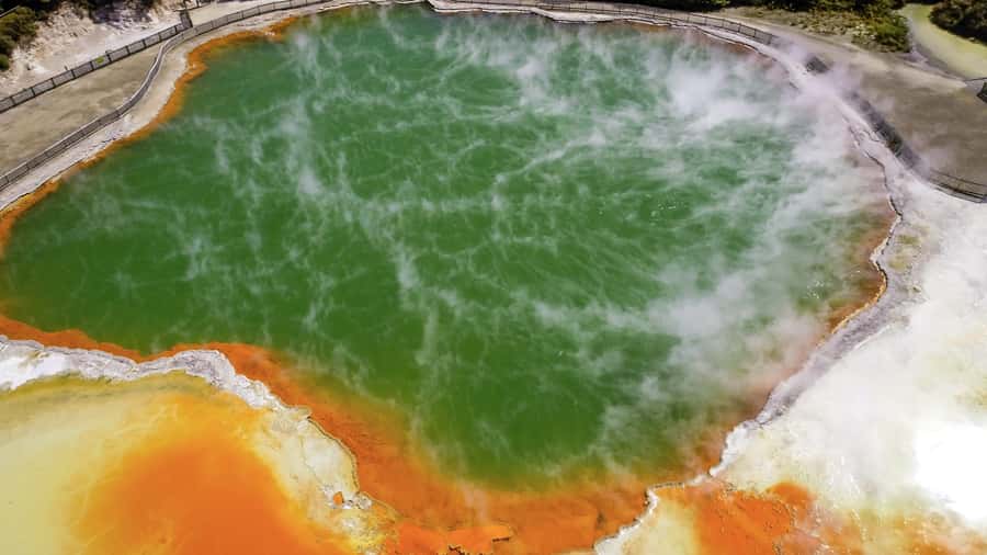 Tauranga: Wai-o-Tapu with Redwood Forest Walk or Forest Spa - Key points at a glance