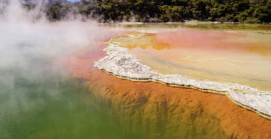 Tauranga: Wai-o-Tapu with Redwood Forest Walk or Forest Spa - Reading Wai-o-Tapu at a comfortable pace