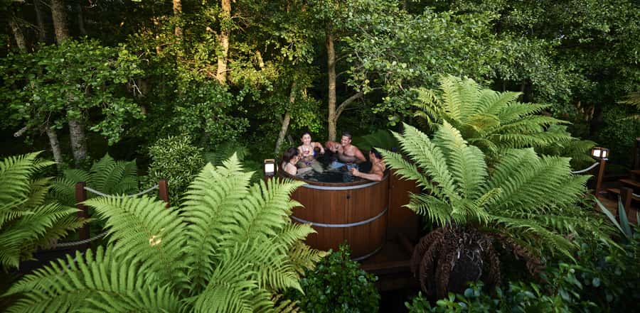 Tauranga: Wai-o-Tapu with Redwood Forest Walk or Forest Spa - Choosing your Redwood Forest experience