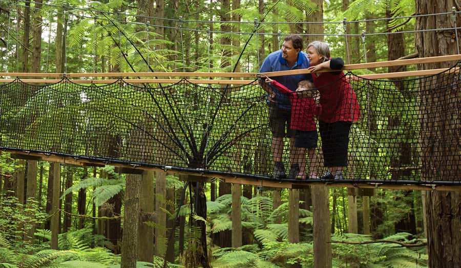 Tauranga: Wai-o-Tapu with Redwood Forest Walk or Forest Spa - The ride back through the Bay of Plenty