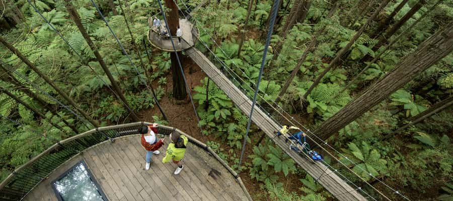 Tauranga: Wai-o-Tapu with Redwood Forest Walk or Forest Spa - Who should book this Tauranga excursion?