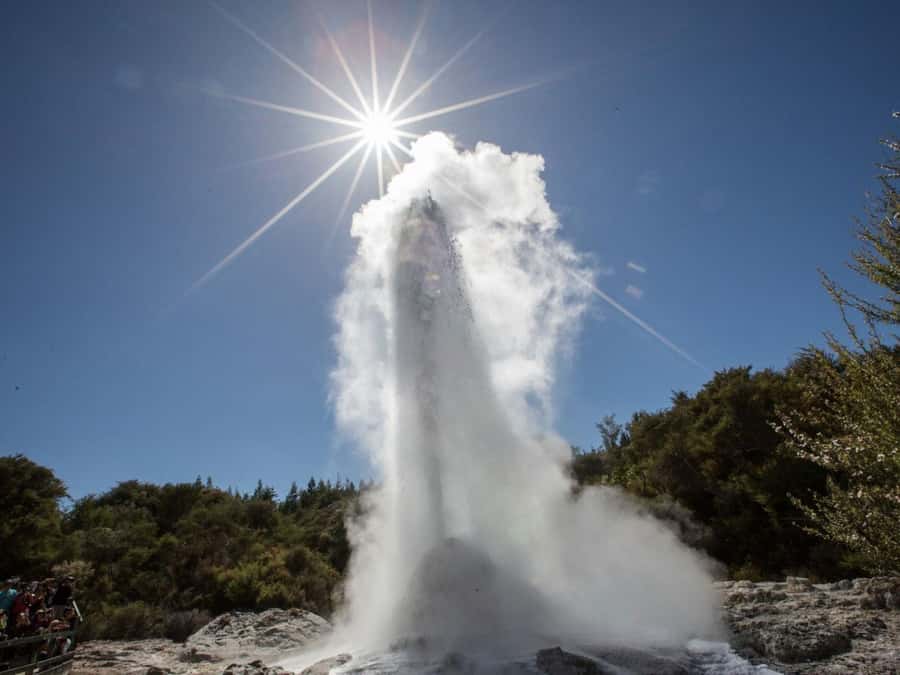 Tauranga: Wai-o-Tapu with Redwood Forest Walk or Forest Spa - Wai-o-Tapu: New Zealand’s geothermal showpiece