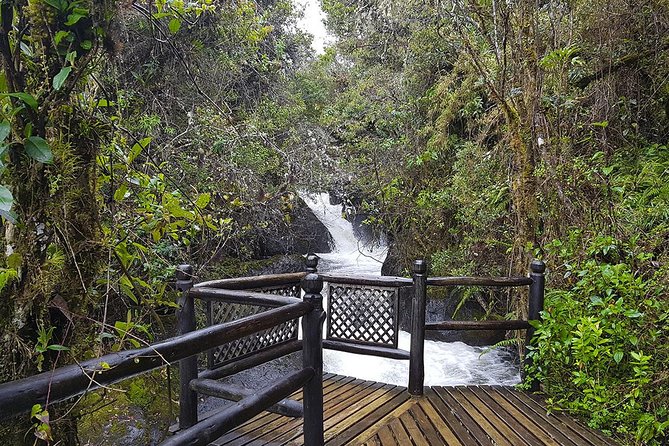 Termas de Papallacta Hot Springs full day tour from Quito - Papallacta Lagoon and the cold moor