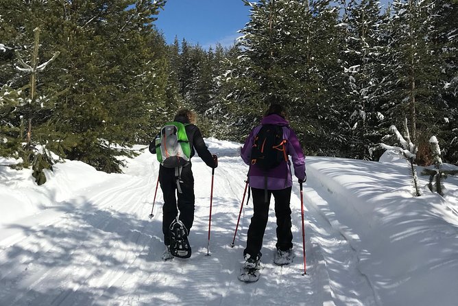 The Best of Bansko: Magical Snowshoeing Adventure & SPA - Five hours in Pirin National Park