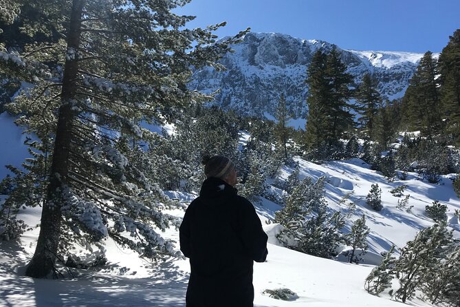 The Best of Bansko: Magical Snowshoeing Adventure & SPA - Is $124.02 a fair price?