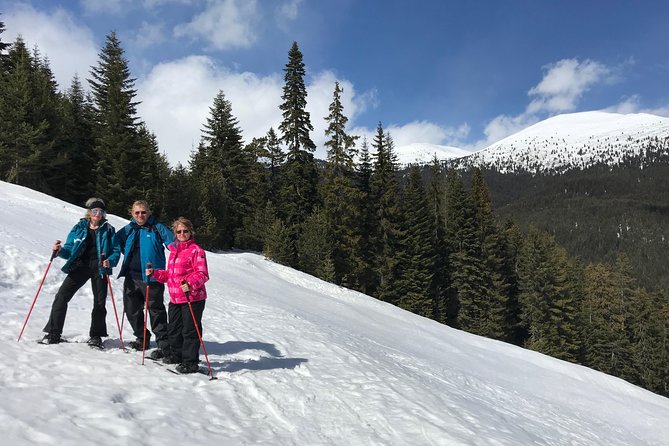 The Best of Bansko: Magical Snowshoeing Adventure & SPA - Gondola views, mountain huts, and possible route extras