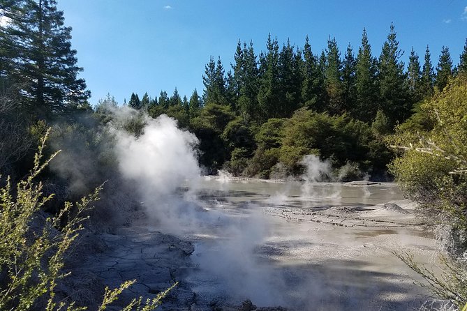 Thermal Path Tour - Who should book this Rotorua outing