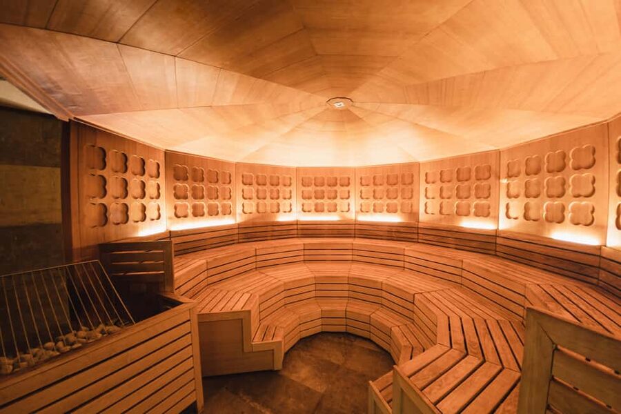 Therme Laa Wellness Day: Spa Escape Near Vienna - Food and drinks during the day