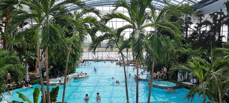 Therme:Spa Day at the biggest oasis of Relaxation《Bucharest》 - Inside Therme, expect plants before peace and quiet