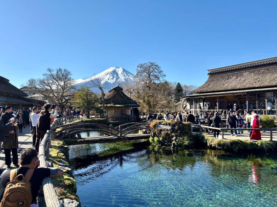 Tokyo: Hakone’s Best Onsen Tour with Lake Ashi Cruise - Hakone Shrine under the cedar trees