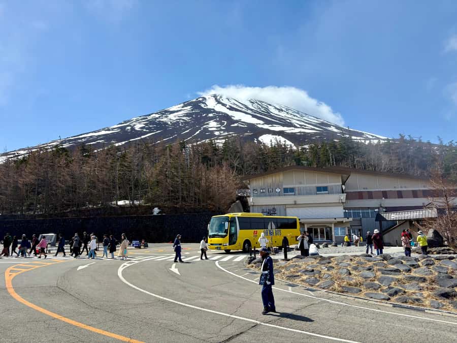 Tokyo: Hakone’s Best Onsen Tour with Lake Ashi Cruise - Choosing between Ryuguden and Tenzan Onsen