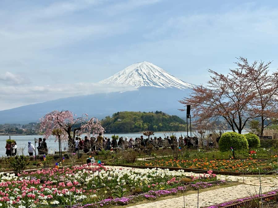 Tokyo: Hakone’s Best Onsen Tour with Lake Ashi Cruise - Who will enjoy this Hakone day trip most