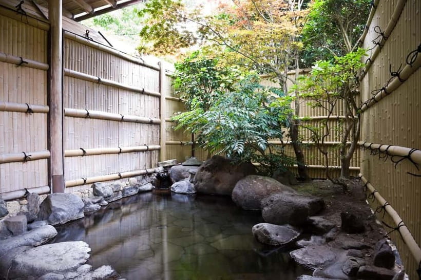 Tokyo: Japanese Spa & Sento Experience with Local - What Makes the Guide Valuable