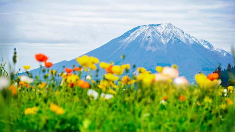 Tokyo: Mount Fuji 5th Station & Onsen Day Trip - Shinkurayama Asama Park and the famous pagoda view