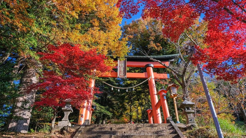 Tokyo: Mount Fuji 5th Station & Onsen Day Trip - What the $50 price really covers