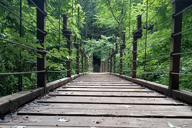 Tokyo: Mt Takao Tour with Ramen and Tattoo-Okay Hot Spring - Starting with the Takao 599 Museum