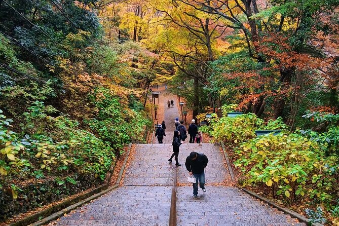 Tokyo: Mt Takao Tour with Ramen and Tattoo-Okay Hot Spring - The downhill route and the ride back