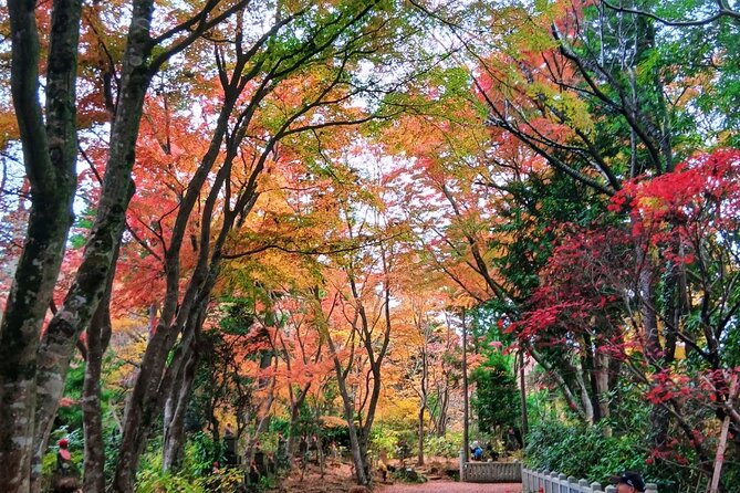 Tokyo: Mt Takao Tour with Ramen and Tattoo-Okay Hot Spring - Meeting Jordan at Takaosanguchi Station