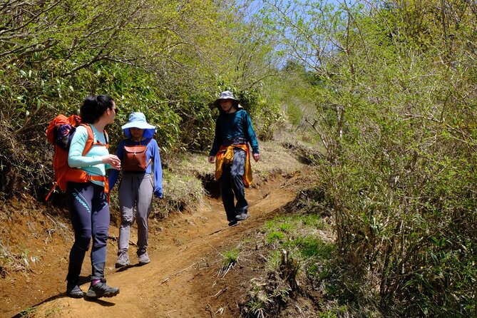 Traverse Outer Rim of Hakone Caldera and Enjoy Onsen Hiking Tour - What the $158.13 price really covers