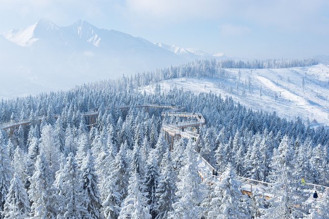 Treetop Walk in Slovakia and Thermal Baths from Krakow - What the $204.27 price includes