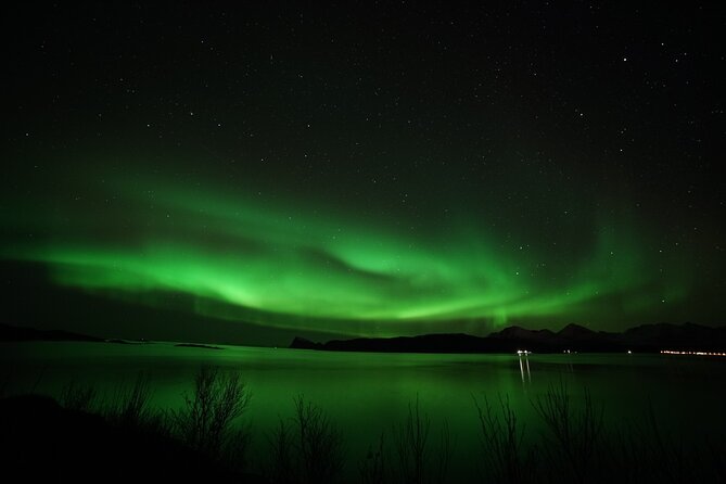 Tromso Aurora Chase by Minibus with Thermal Suit, Snack and Photo - Warm clothing, campfires, and the waiting game