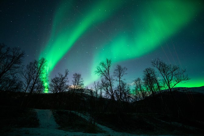 Tromso Aurora Chase by Minibus with Thermal Suit, Snack and Photo - Is $189.25 a fair price?