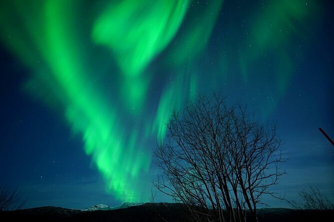 Tromso Aurora Chase by Minibus with Thermal Suit, Snack and Photo - How the northern lights chase works