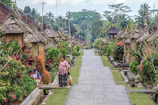 Trunyan Cemetery, Hot Spring, Penglipuran Village, and Waterfall Tour - Tibumana Waterfall for the final nature stop