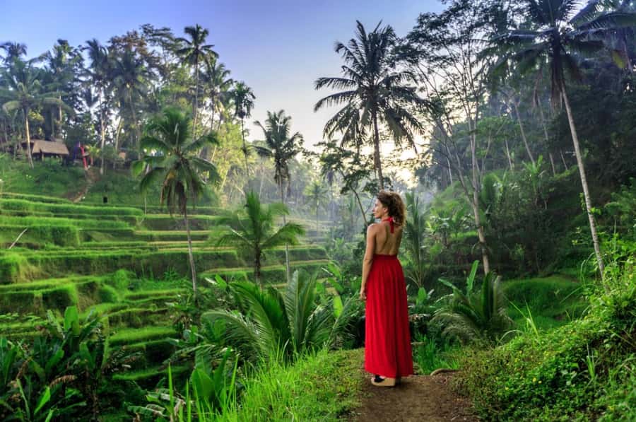 Ubud: Floating Breakfast, Jungle Swing & Spa Romantic Tour - The jungle swing and afternoon tea
