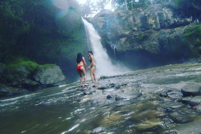 Ubud Hot Springs and Waterfall Private Guided Tour - Tegalalang Rice Terrace and the Bali swing