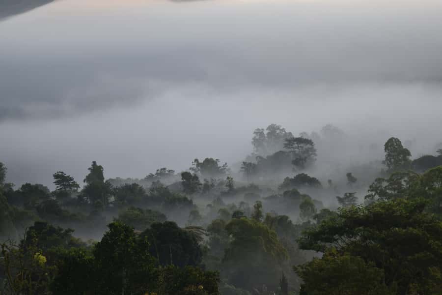 Ubud & Volcano Hot Springs Tours - Kintamani crater views and the extra cost of lunch