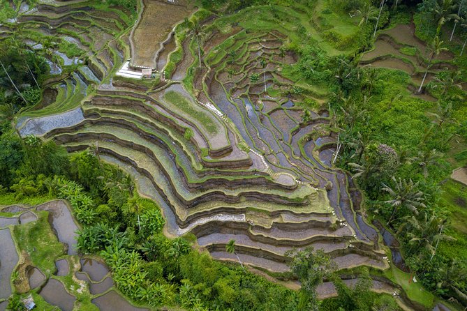 Ubud Volcano Lake and Natural Hot Spring Tour - Batur Natural Hot Spring: the day’s best pause
