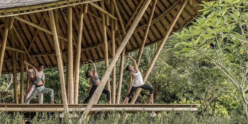 Ubud: Wellness Retreat with Massage, Yoga Class, and Lunch - A relaxed transfer to Suite Sankara in Ubud