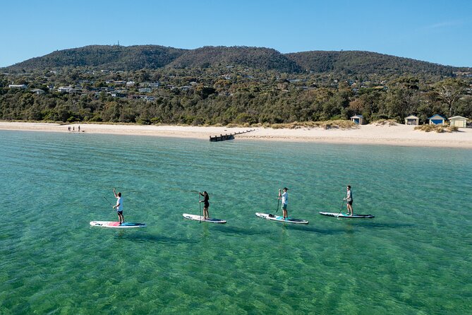 Ultimate Peninsula Adventure: Stand Up Paddle, Hot Springs, Hike, Lunch & Winery - The day at a glance