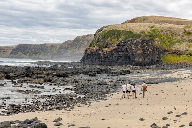 Ultimate Peninsula Adventure: Stand Up Paddle, Hot Springs, Hike, Lunch & Winery - A picnic with views instead of a rushed lunch