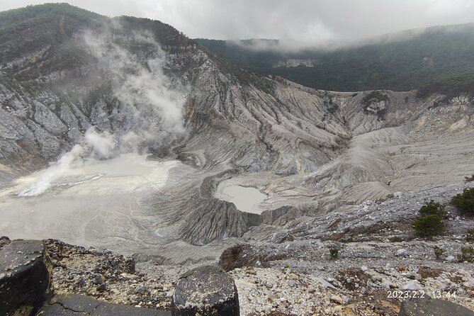 Volcano, Hot Spring, Tea Factory, rice fields and Coffee Tour - Why this West Java day trip works from Jakarta