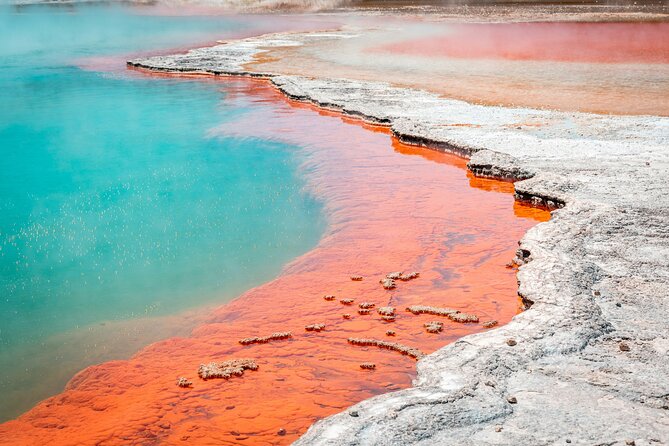 Wai-O-Tapu Thermal Wonderland, Rotorua, New Zealand - Key points to know before you go
