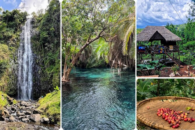 Waterfall, coffee tour & hot springs - lunch and drinks included - Key points at a glance