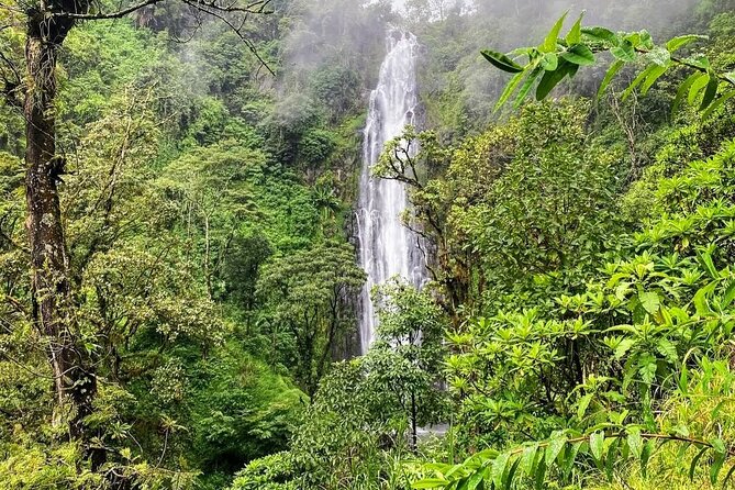 Waterfall, coffee tour & hot springs - lunch and drinks included - The physical effort and what to pack