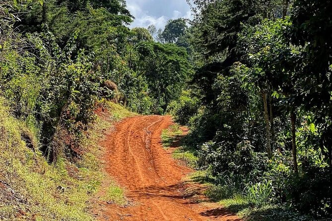 Waterfall, coffee tour & hot springs - lunch and drinks included - Food, drinks, and the rhythm of the day